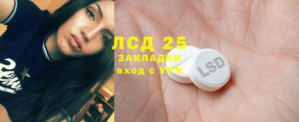 прущие грибы Щучье